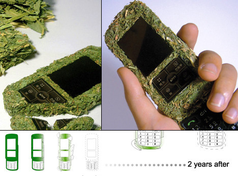 grass08