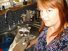 2009_0625racoon0094