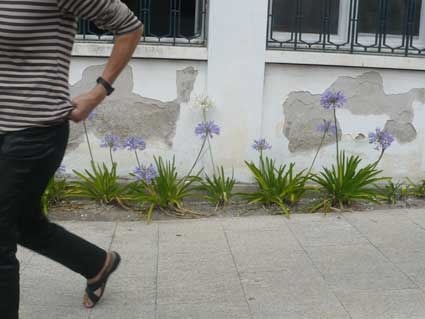 viana3