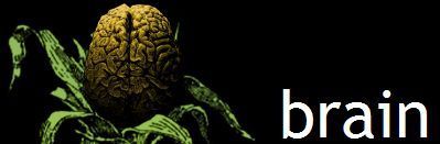 brain