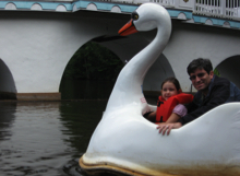 swanride220good.jpg