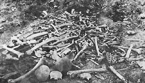 MorgenthauArmenian