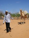 Camel-books