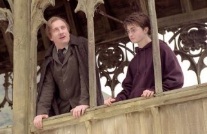 Remes Lupin & Harry Potter