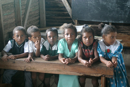 Mosquito Coast School