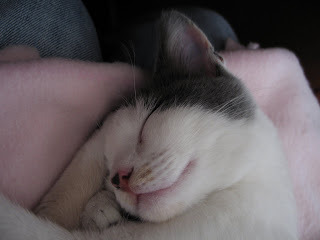 Gretel Sleeping Photo 1