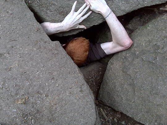 dead rises