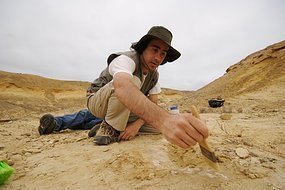 Palaeontologist in Angola