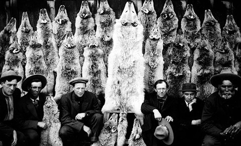 WolfHunters