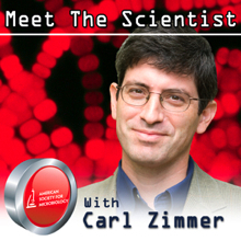 mtsitunes220.jpg