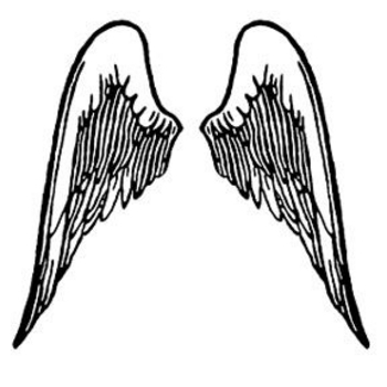 wings