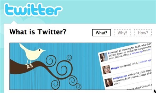 twitter.jpg