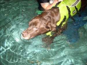 pics 020a