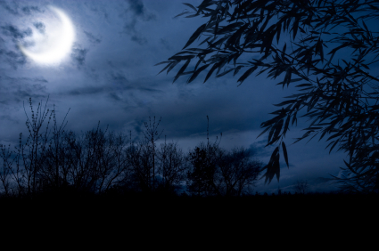 autumn night