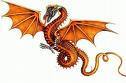 dragon in amber