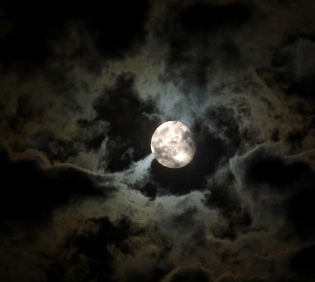 moonlight