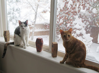 Kitties in Window