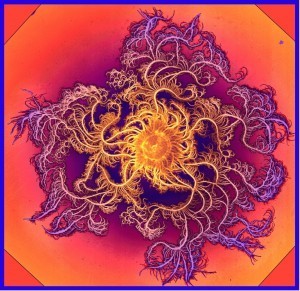 eschel bacteria