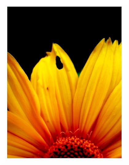 tiada yang sempurna melainkan Allah SWT