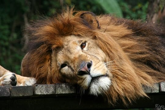 mari muhasabah sebelum dan selepas melelapkan mata...