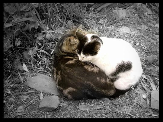 episod terakhir online...