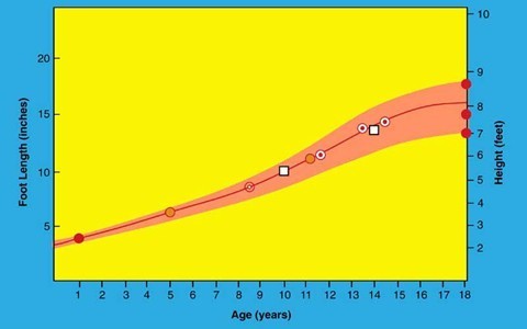 BigfootGrowthCurve