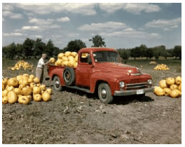 Punkin Truck