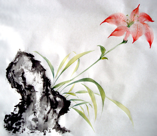 lily3a