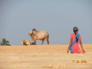 11248_1293067969914_1326727716_821240_4783157_n