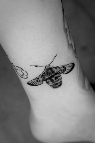 Ext-inked