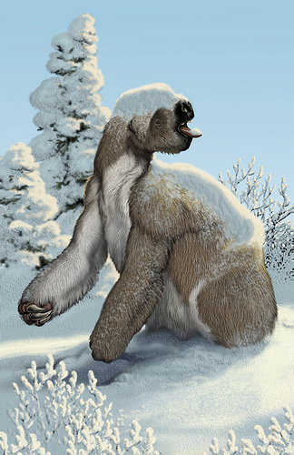 sloth buell