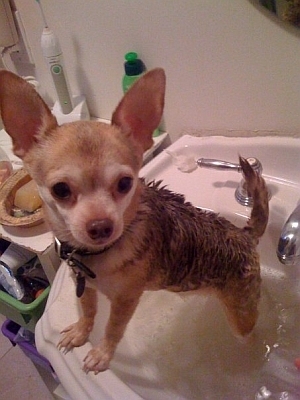 Frankie's Bath