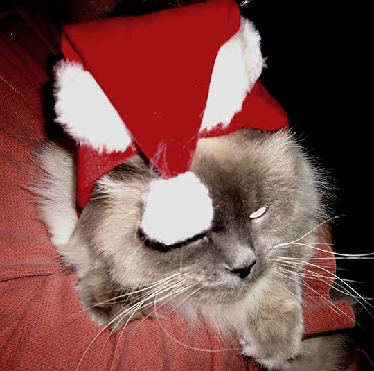 xmas 005a