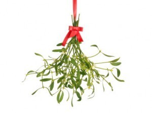 Mistletoe. You know what to do.