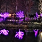 Chr lites pano 1