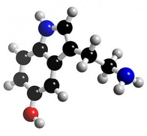 This serotonin molecule doesn't look festive--but it's the key to holiday happiness. Guess how you make it?