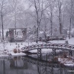 103_5679