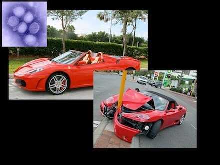 lethal mutagenesis cars.086