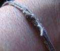 The string of which I speak.