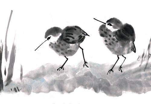 seabirds2b