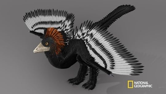 anchiornis illustration