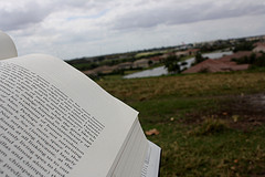 perfect place to read