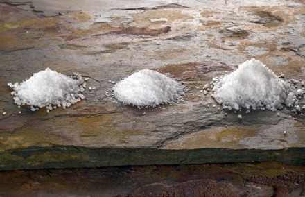 3 salt types@440