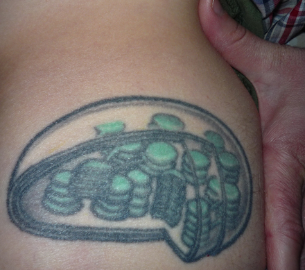 chloroplast tattoo440