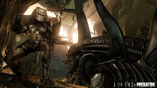 avp