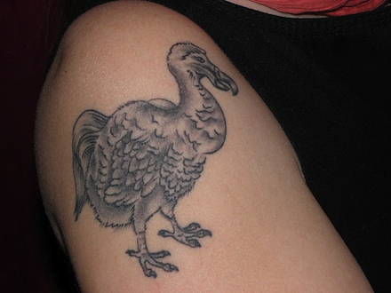 Dodo440