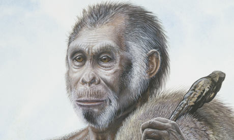 homo-floresiensis-hobbit