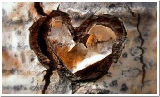 Dosa itu merosakkan hati kita.