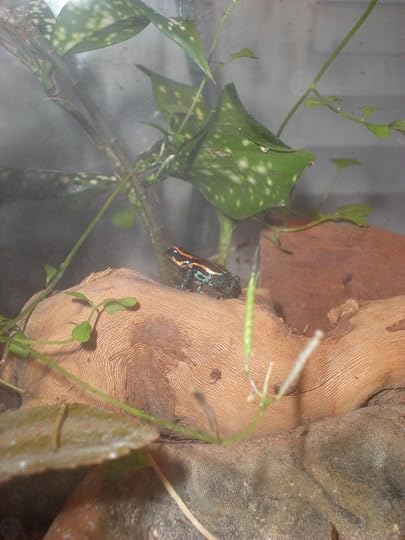 little guy