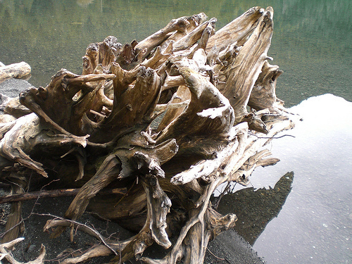 lady of the lake 011